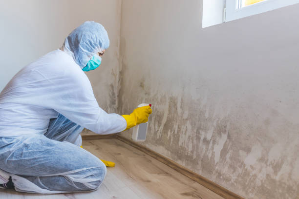 Mold Removal Process in East Atlantic Beach, NY